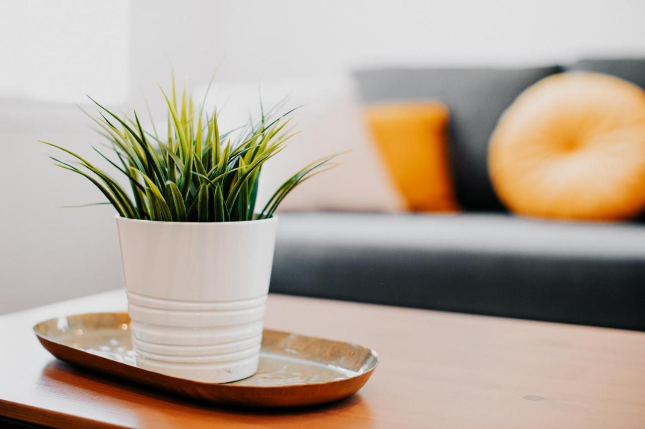 Appartement Cosy Avec Place De Parking Prive トゥールーズ エクステリア 写真